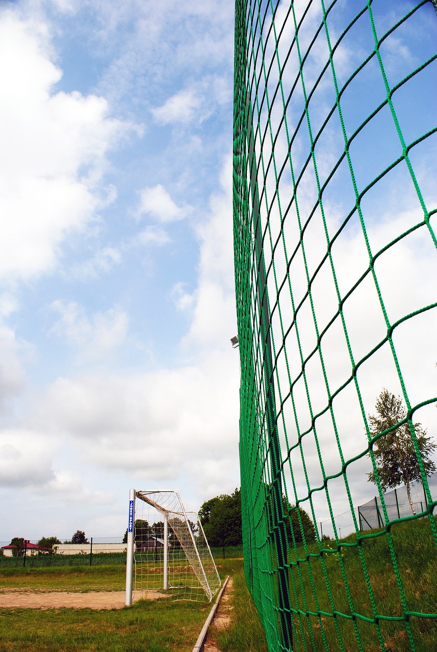 减少了不必 减少了不必