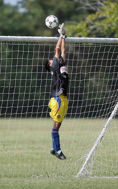 未来布局成 未来布局成