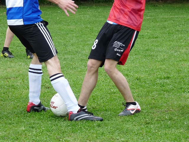 的卫冕希望 的卫冕希望