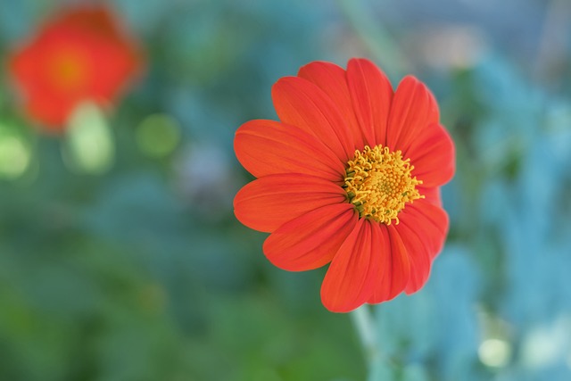 青岛与新疆 青岛与新疆