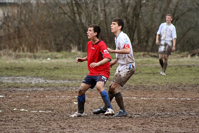 身体健康 身体健康