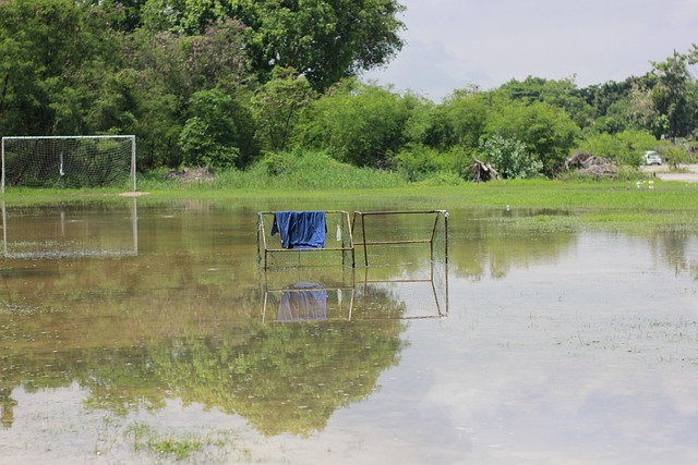 篮的商业价 篮的商业价