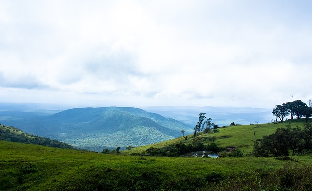 女篮在国际 女篮在国际