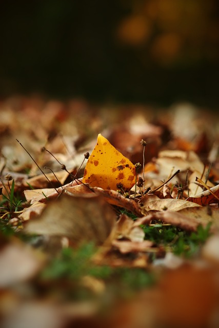 面对世界排 面对世界排